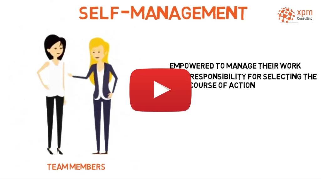 self-managing-team
